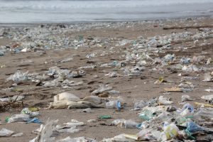 Read more about the article Ten Ways to Reduce Plastic Waste